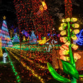 Holiday-Themed Community Events in Northeastern Illinois: A Local Expert's Guide