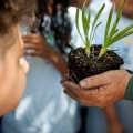 The Power of Volunteering: Making a Difference at Community Events in Northeastern Illinois