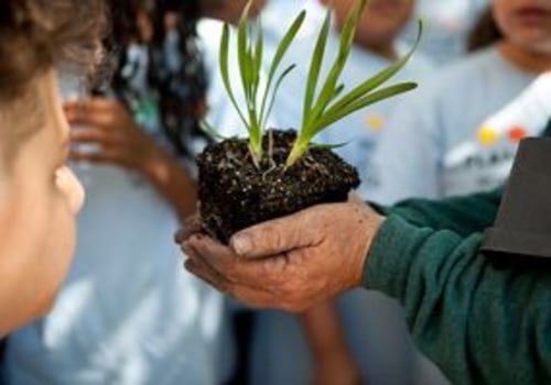 4 Ways to Get Involved in Community Events in Northeastern Illinois